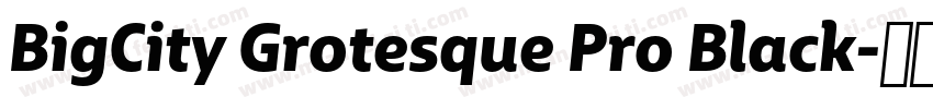 BigCity Grotesque Pro Black字体转换